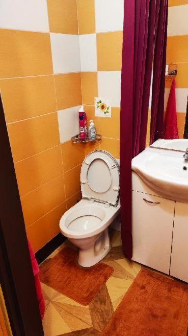 Apartmany Sarka Ujezd U Hradce Kralove Hradec Králové エクステリア 写真